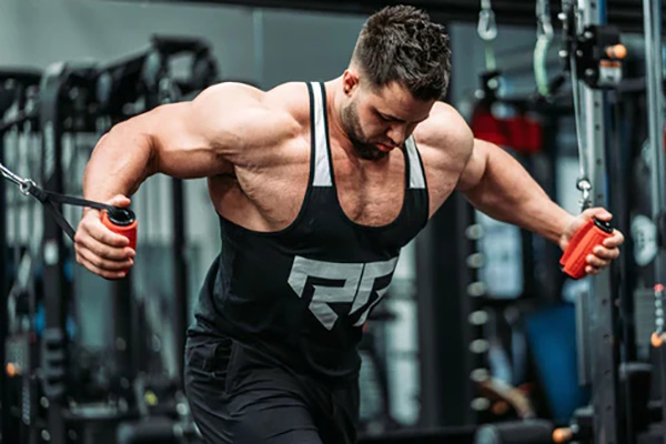 What Is the Best Equipment for Building Muscle?